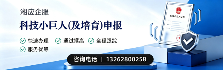 张家口科技小巨人及培育企业申报服务