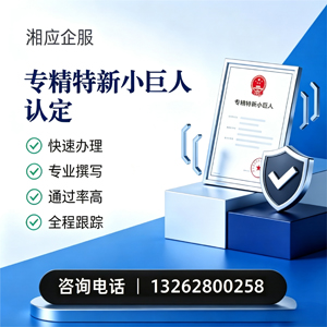 张家口专精特新小巨人申报服务
