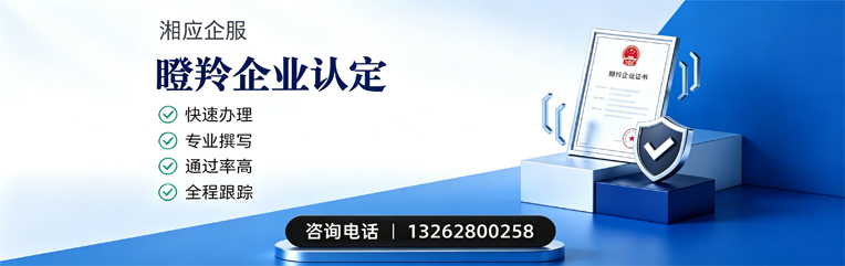 张家口瞪羚企业认定申报服务