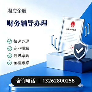 张家口财务辅导申请服务
