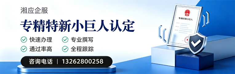 张家口专精特新小巨人申报服务
